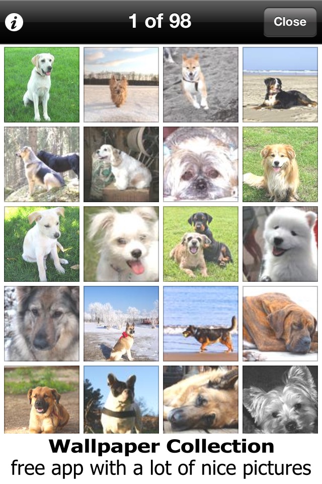 Wallpaper Collection: Cute Dogs screenshot 2