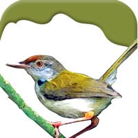 Birds on Planet Earth