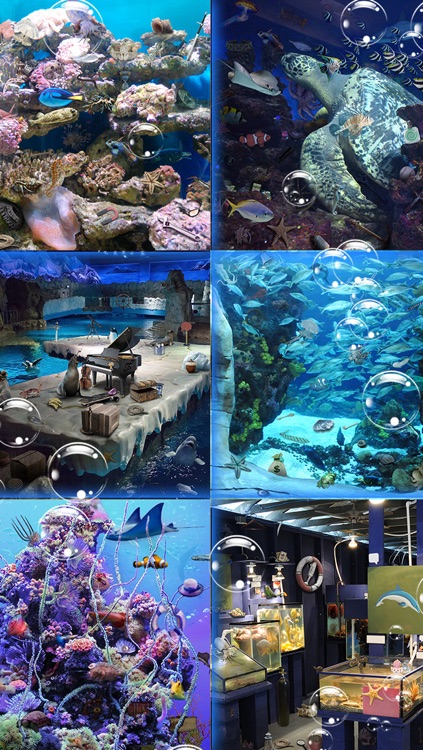 Hidden Object: Mystery in the Aquarium screenshot-3