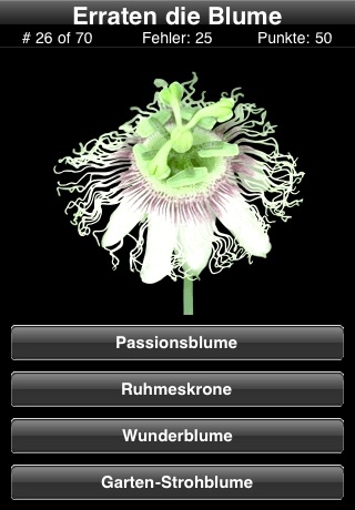 A Flower Quiz screenshot 4