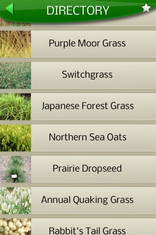 Midwest Ornamental Grasses screenshot 2