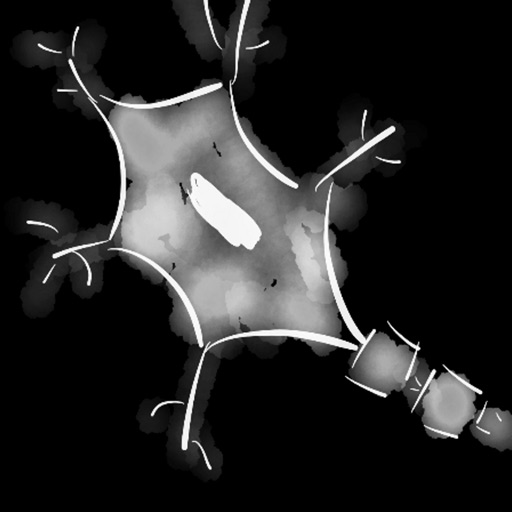 Exploring Biology: Neuron Review icon