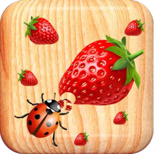 Bug Smashing - Save the Strawberry from the Bloons Bugs iOS App