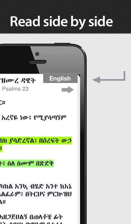 Amharic Bible with Audio