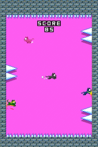 Bouncy Cat !! screenshot 3