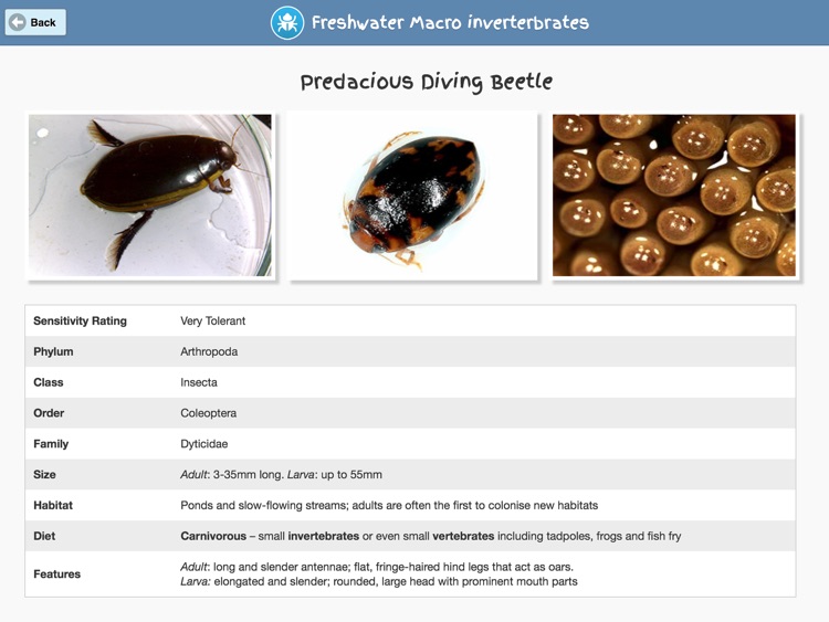 Freshwater Macro Invertebrates