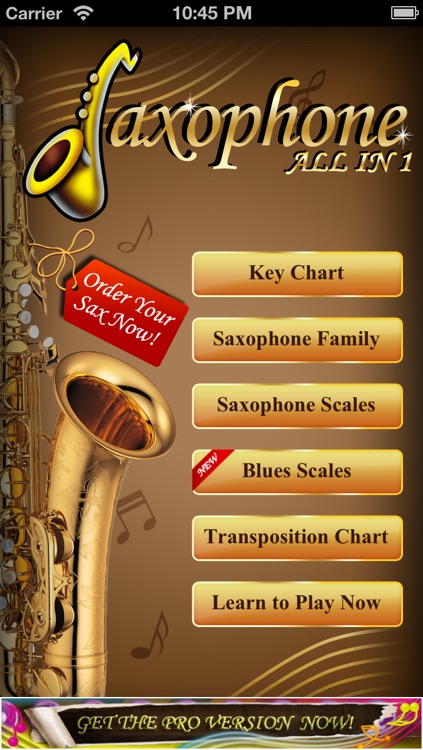 Saxophone All-in-one