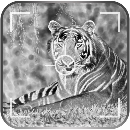 Best Negative Photo Camera & Video Effects icon