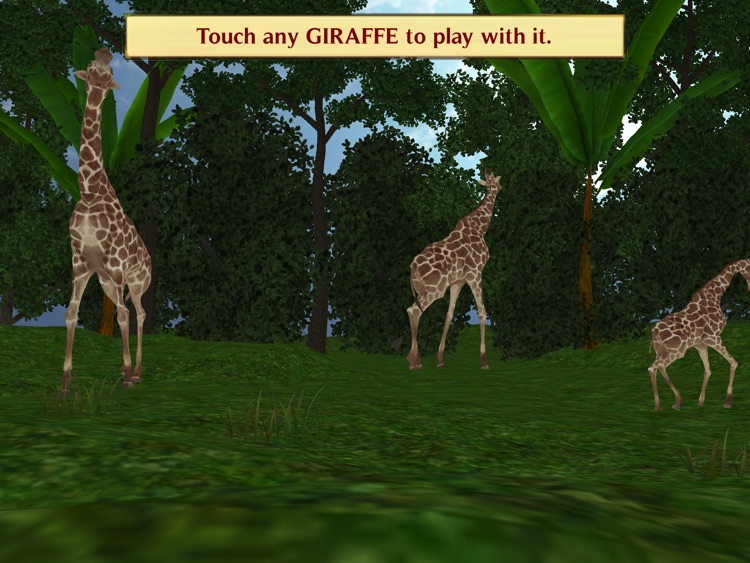 Magic Boox: Jungle Safari