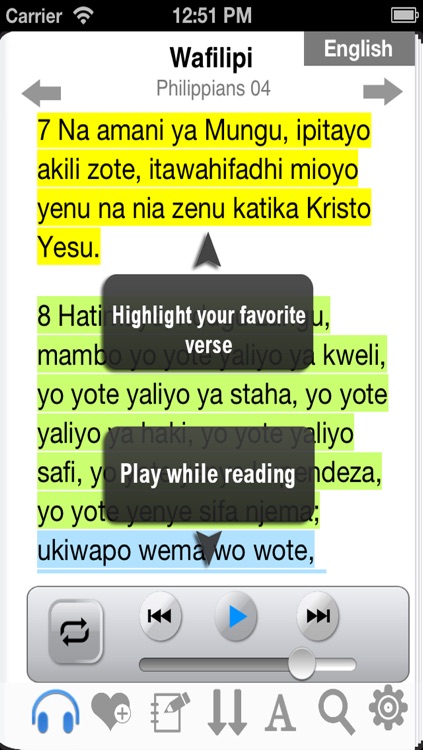 Swahili Bible Audio screenshot-3