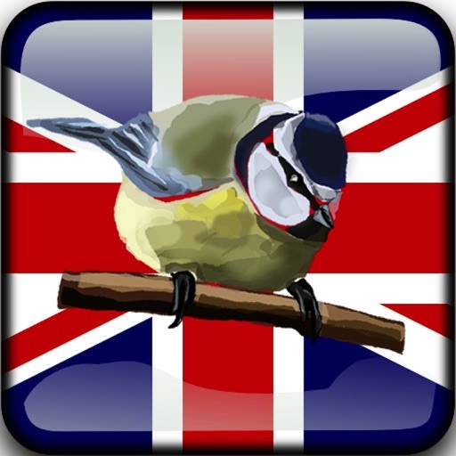 Birds of Britain icon