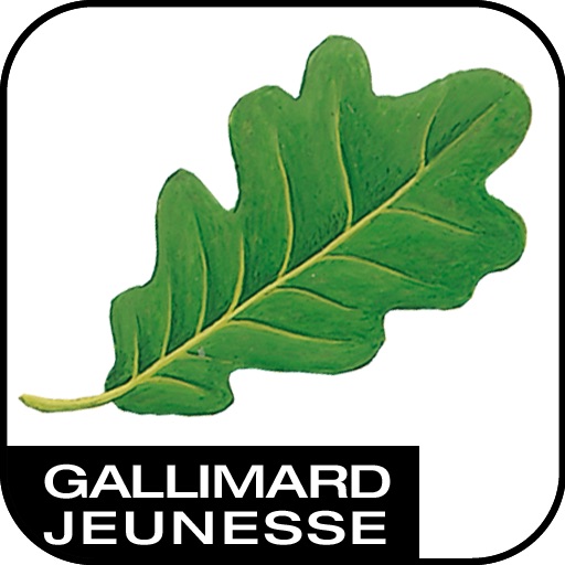 La forêt Lite pour iPhone icon