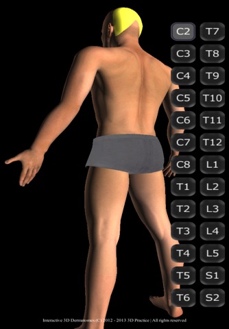 Interactive 3D Dermatomes screenshot 3