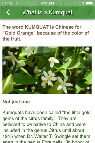 Kumquat Growers screenshot 4