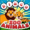 Bingo Zoo Animals Blitz - For Free
