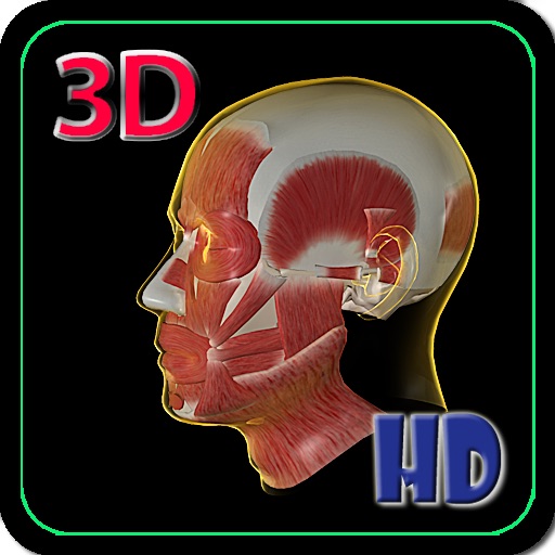 3D Human Head Muscle HD