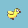 Pixel Chick