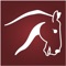 By popular request, EquiSketch brings you EquiSketch Driving Dressage
