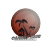 Cannes Azur Immobilier - iPad Version