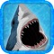 Shark Chomp Surfers-Attack Flooding Crush City Free by Appgevity LLC