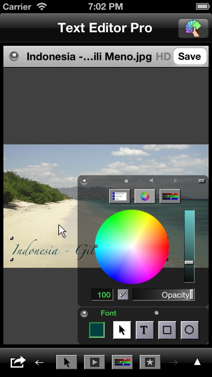 Text Editor Pro