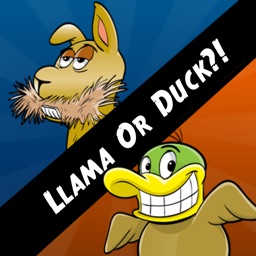 Llama Or Duck?!