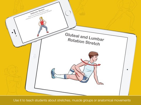 Stretch It HD - Stretching, Warm Up & Cool Down Task Cards screenshot 3