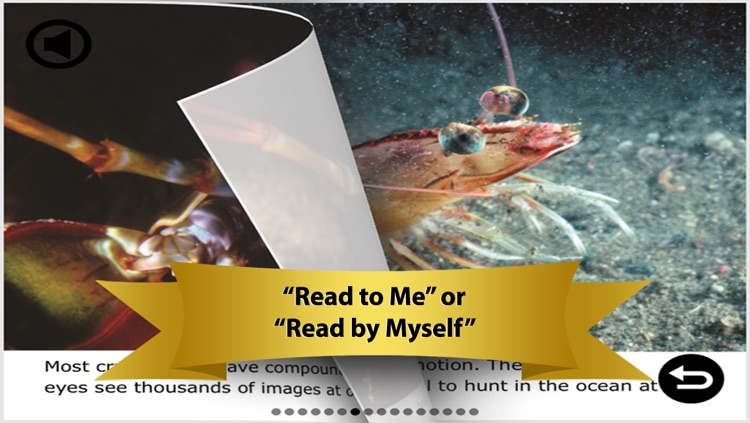 Under The Sea Digital Activity Pack: Games, Videos, Books, Photos & Interactive Play & Learn Activities for Kids from Hameray Publishing