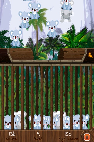 Koala Fall Survival Blast - Crazy Angry Dingo Escape Game for Kids screenshot 3