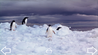 How to cancel & delete Mission Antarctica from iphone & ipad 2