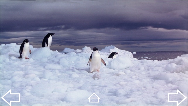 Mission Antarctica(圖2)-速報App