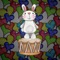 Bongo Bunny loves bongos