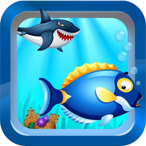 Tiny Fish Race - Free running games icon