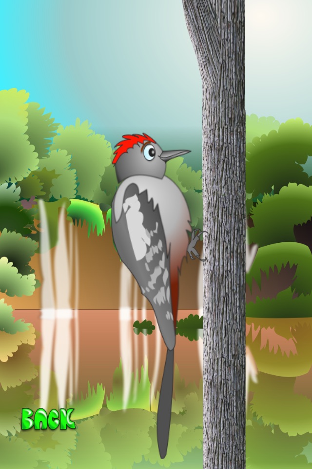 Woodpecker Mania screenshot 2