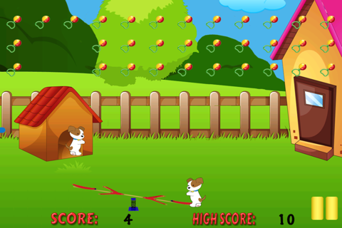 Cute Puppy Dog Seesaw Jumping - A Crazy Animal Toss-Catcher Mania screenshot 3