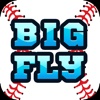 Big Fly Baseball