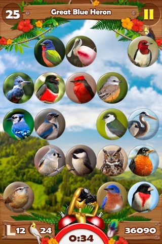 Bird Matching screenshot 4