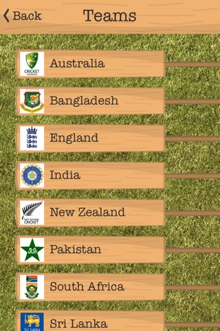 T20 Fever screenshot 4