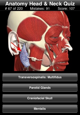 Anatomy Head & Neck Quiz screenshot 4