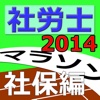 社労士マラソン2014 - 社保編