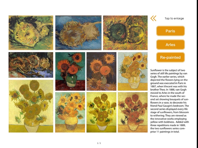 Van Gogh: Painted With Words