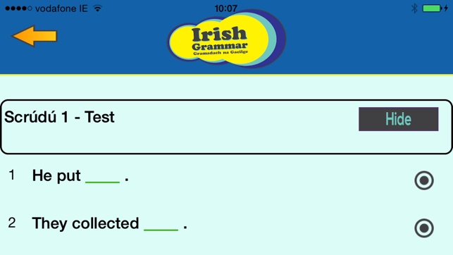 Irish Grammar(圖3)-速報App