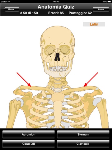 Anatomy Quiz for iPad screenshot 2