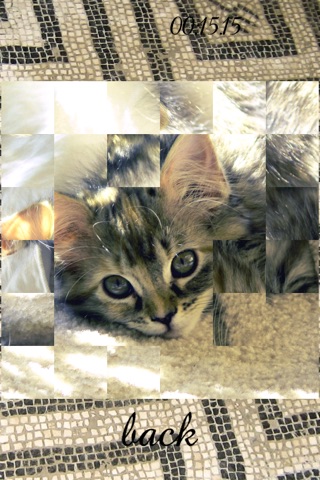 TurnPuzz - Cats screenshot 2