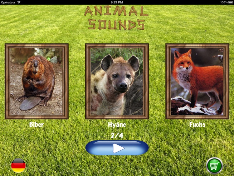 Wild Zoo Animals Quiz Fun App - Baixar APK para Android