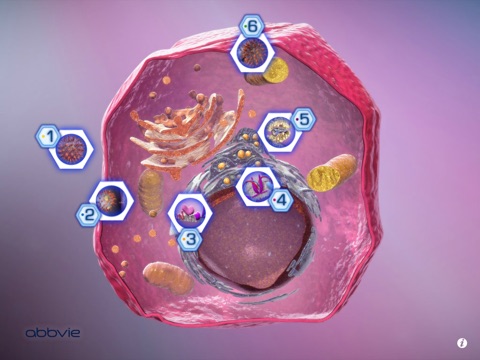 HCV Life Cycle by AbbVie screenshot 3