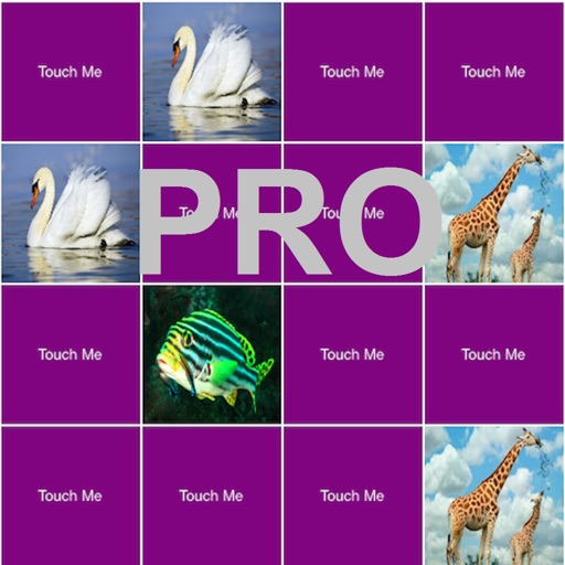 Mem Play Pro icon