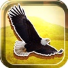 American Eagles Slide Puzzle Free Game
