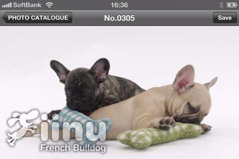 Look!FrenchBulldog screenshot 4