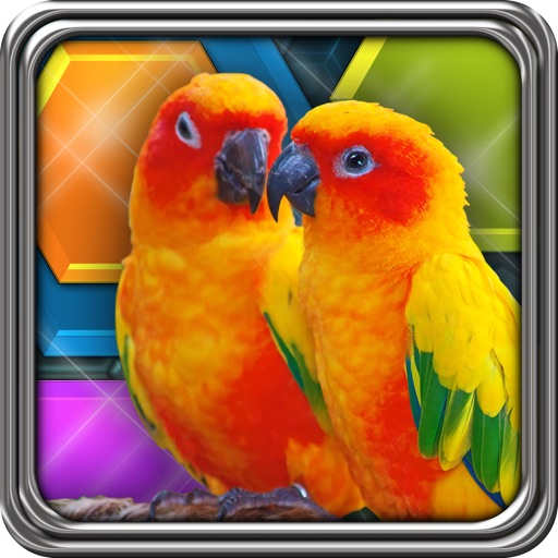 HexLogic - Birds iOS App